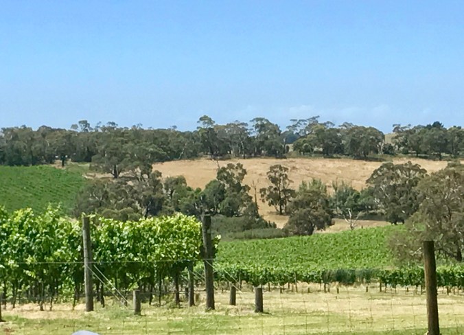 C14AC745-BFD9-45A1-A952-1CDB118C6E66