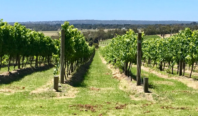 F6D22518-8C4E-495B-97DF-803C3E8DCD96